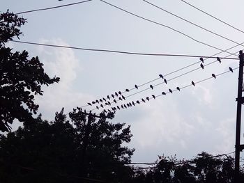 Low angle view of silhouette birds on cable against sky