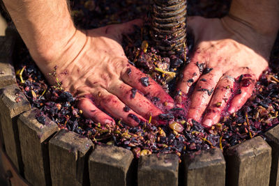 Cropped hand of person preparing food