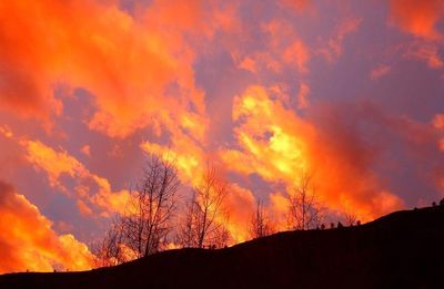 Low angle view of silhouette tree against orange sky