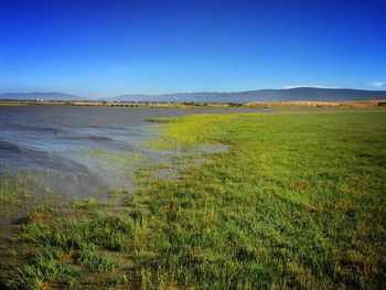 Scenic view of landscape against clear sky