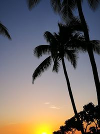 Low angle view of silhouette palm tree against sky