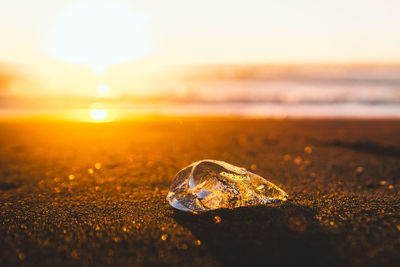 Close-up of stone on sand at beach