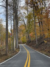 Empty road amidst trees