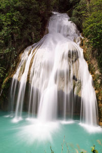 Scenic view of waterfall in forest