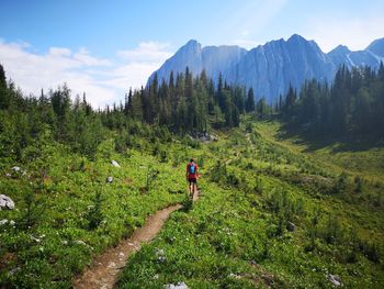 Hike through kananaskis pass