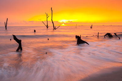 Beach against orange sky