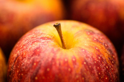 Close-up of apple