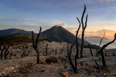 A beautiful morning at dead forest, papandayan mountain in garut west java indonesia