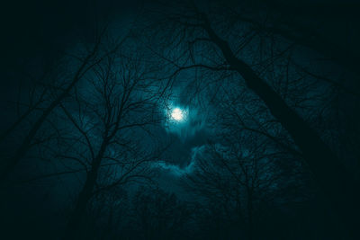 Low angle view of bare trees against sky at night