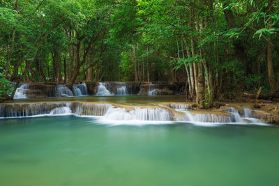 Scenic view of waterfall in forest