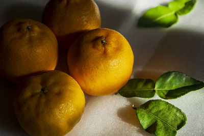 Orange fruits with leaf background