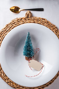 Directly above shot of christmas tree in bowl on table