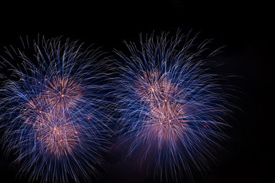 Low angle view of firework display at night
