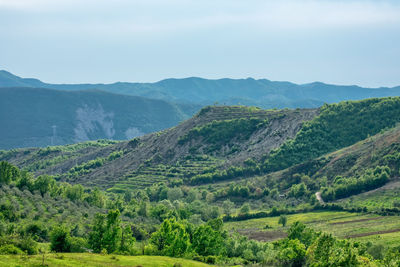 Scenic view of agricultural landscape against sky