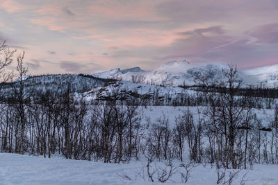 Scenic view of snowcapped mountains against sky during winter