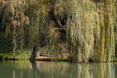 Scenic view of lake