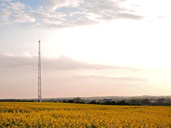 Scenic view of field against sky during sunset