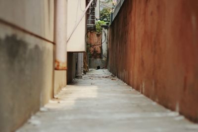 Corridor along buildings