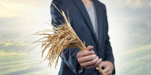 Midsection of businessman holding plant