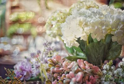 Close-up of flowers blooming outdoors