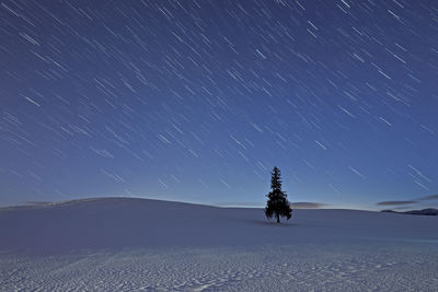 Scenic view of trees on field against sky at night