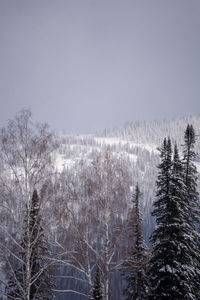winter