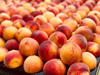 Close-up of fruits for sale in market