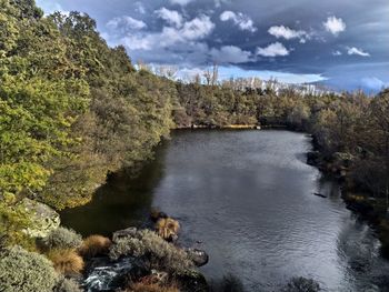 Scenic view of river amidst trees against sky