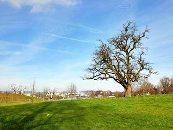 Scenic view of grassy field against cloudy sky