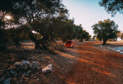 Road by trees in city against sky