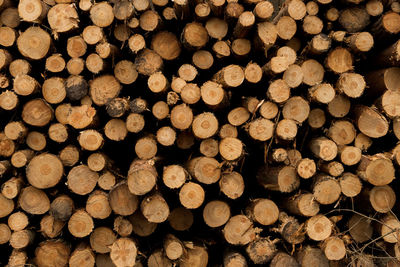 Full frame shot of firewood