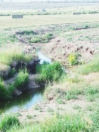 Scenic view of lake