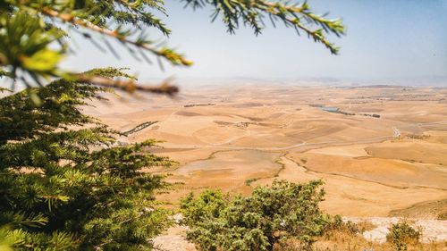 Scenic view of desert landscape