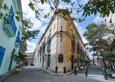 Street amidst palm trees and buildings against sky