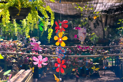 Close-up of multi colored flowers hanging on tree