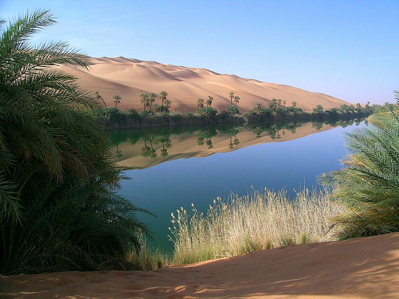 tranquil scene, tranquility, scenics, tree, road, the way forward, beauty in nature, nature, landscape, blue, non-urban scene, sky, idyllic, mountain, plant, remote, outdoors, grass, no people, day, growth, diminishing perspective, non urban scene, country road, travel destinations, horizon over land