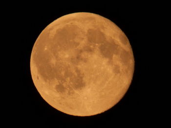 Low angle view of moon in sky