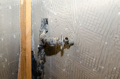 High angle view of pigeons on wet door