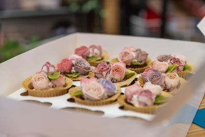 Close-up of sushi in plate