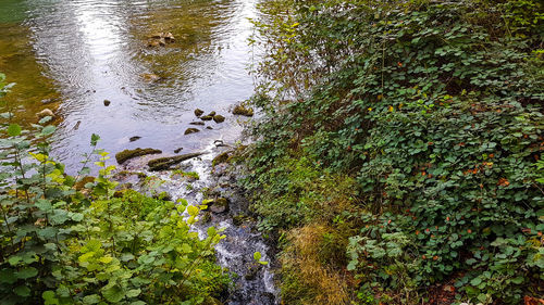 Full frame shot of water