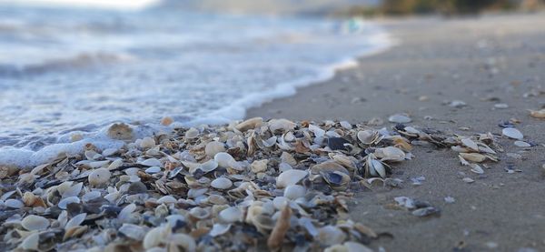 Close-up of stones on beach