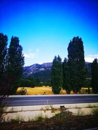 Road by trees against blue sky