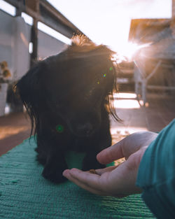 Woman with dog at home