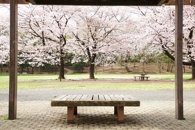 Bench in park