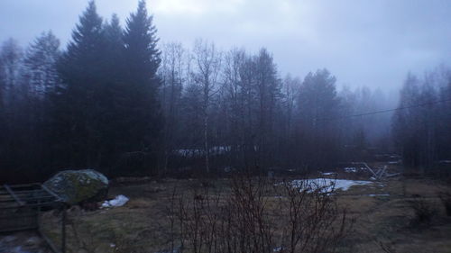 Scenic view of lake in forest against sky