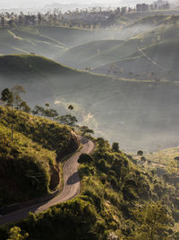 High angle view of road amidst trees and landscape