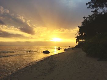 Scenic view of sea at sunset