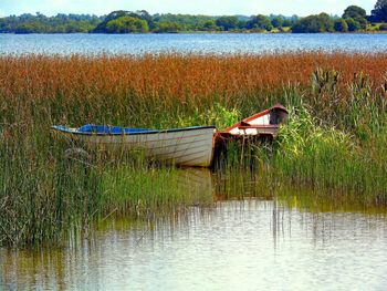 Scenic view of lake