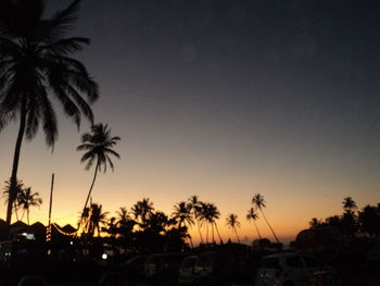 Palm trees at sunset