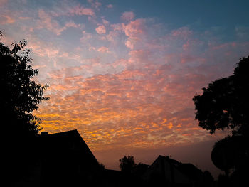 Silhouette of trees against dramatic sky